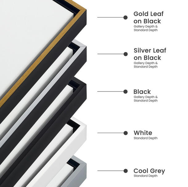 Cardinali Floater Frame Colors